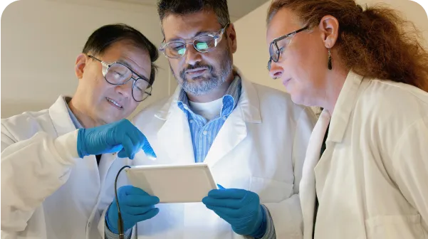 ピックアップの画像