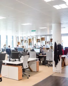 ピックアップの画像